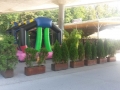 Buf_Kranj-24